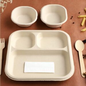 Bagasse Plates & Bowls