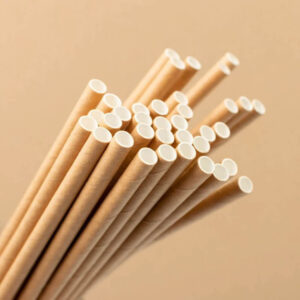 Paper Straws