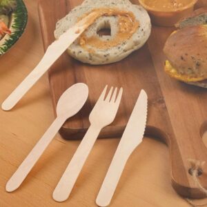 Wooden / Paper Cutlery